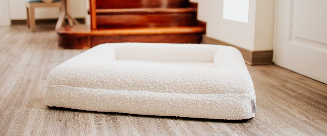 Cómo mantener la funda de la cama de mi perro libre de ácaros