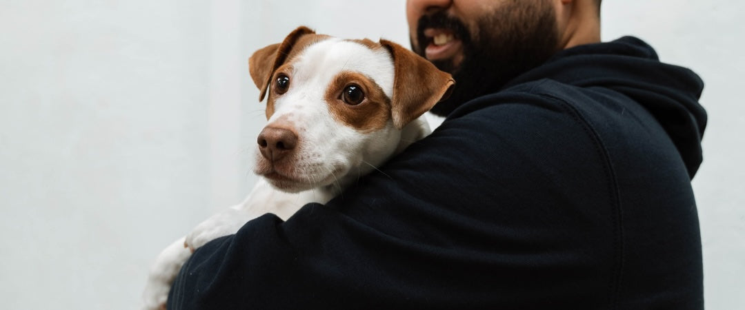 Consejos para mejorar el bienestar de tu perro