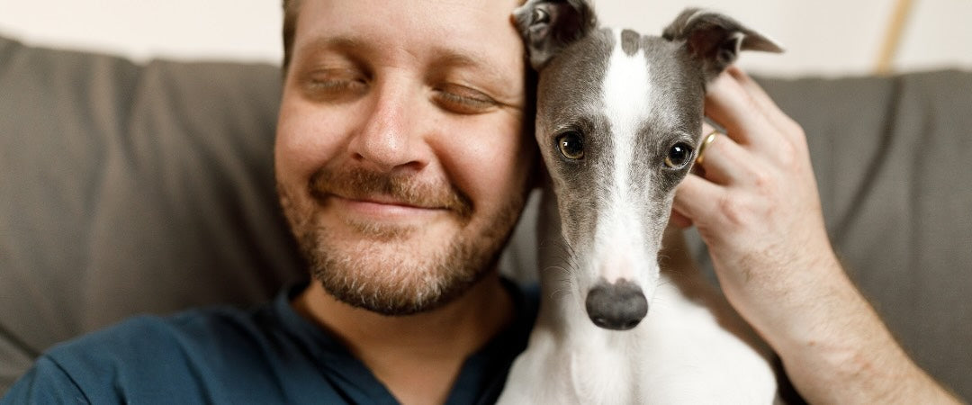 Regalos creativos para un Dog Dad en el Día del Padre