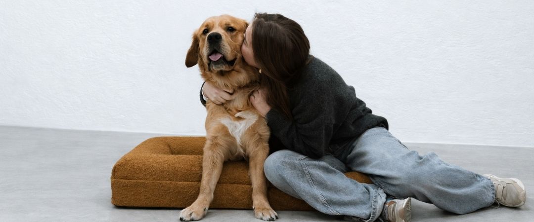 ¿Para qué sirve una cama ortopédica para perros?