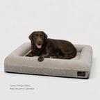 Pethijos Espana - Camas para perros ortopedicas viscoelasticas - cama grande para perro labrador