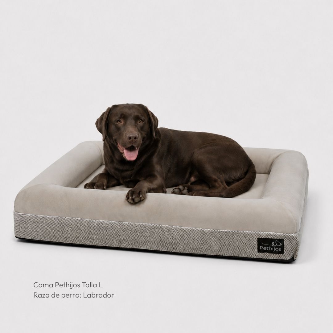 Pethijos Espana - Camas para perros ortopedicas viscoelasticas - cama grande para perro labrador
