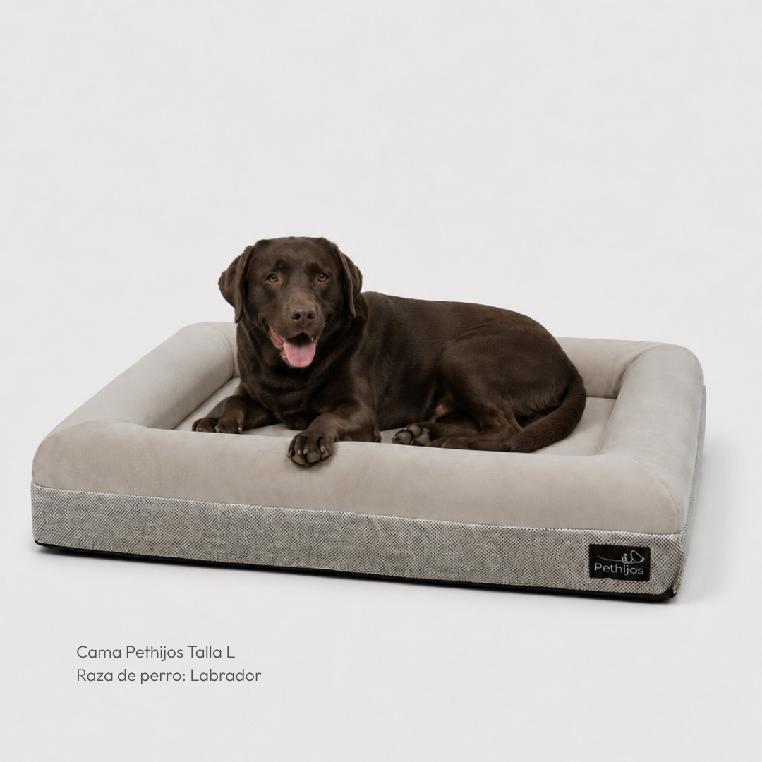 Cama ortopédica viscoelástica – Pethijos 