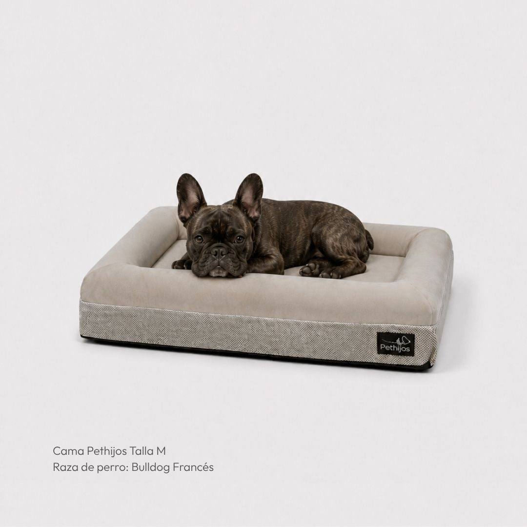 Pethijos Espana - Camas para perros ortopedicas viscoelasticas - cama mediana para perro bulldog francés