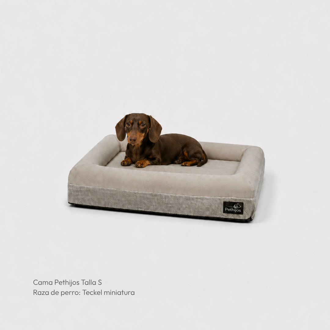 Cama ortopédica viscoelástica – Pethijos 