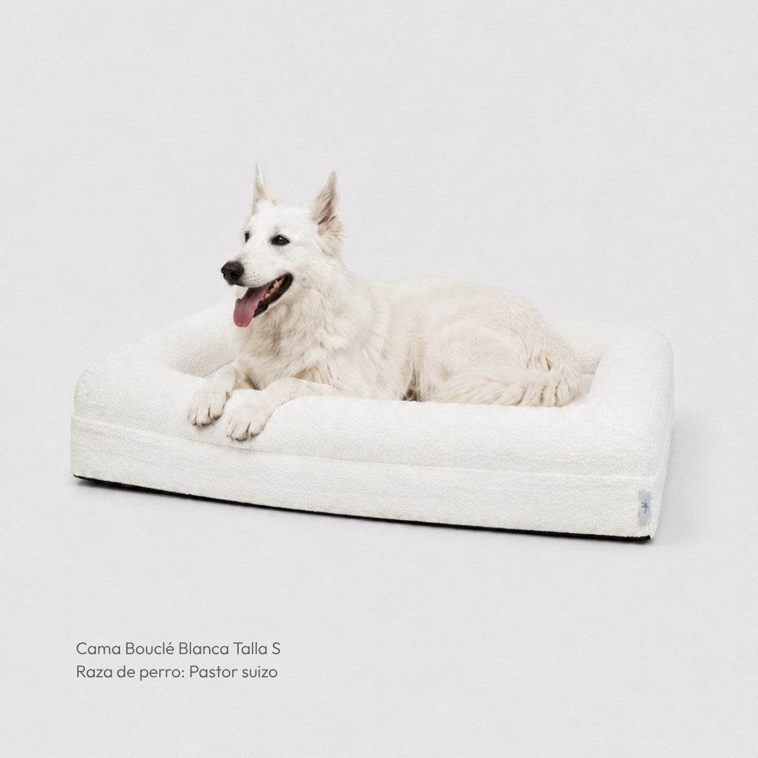 Cama ortopédica viscoelástica – Bouclé branca