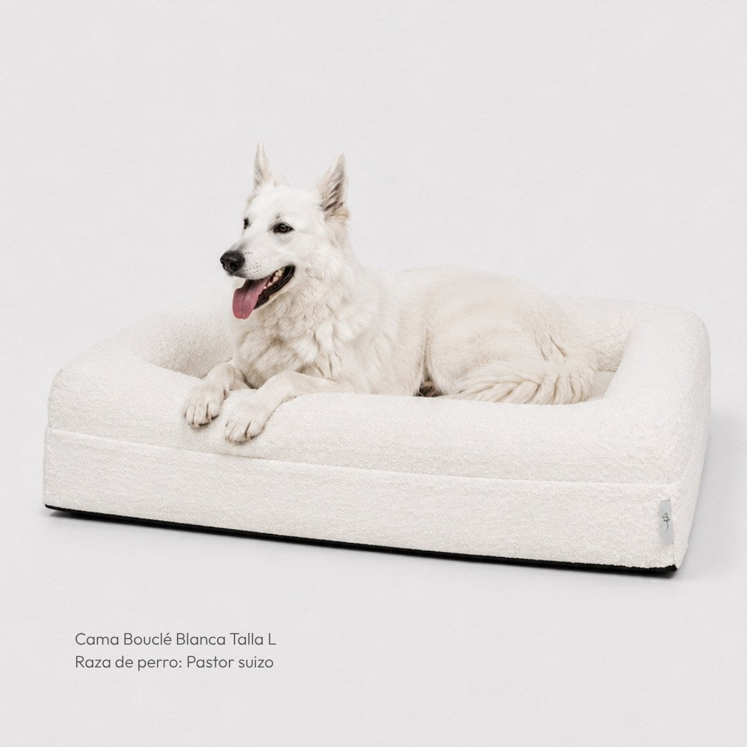 Pethijos Espana - Camas para perros ortopedicas viscoelasticas - cama grande para pastor suizo