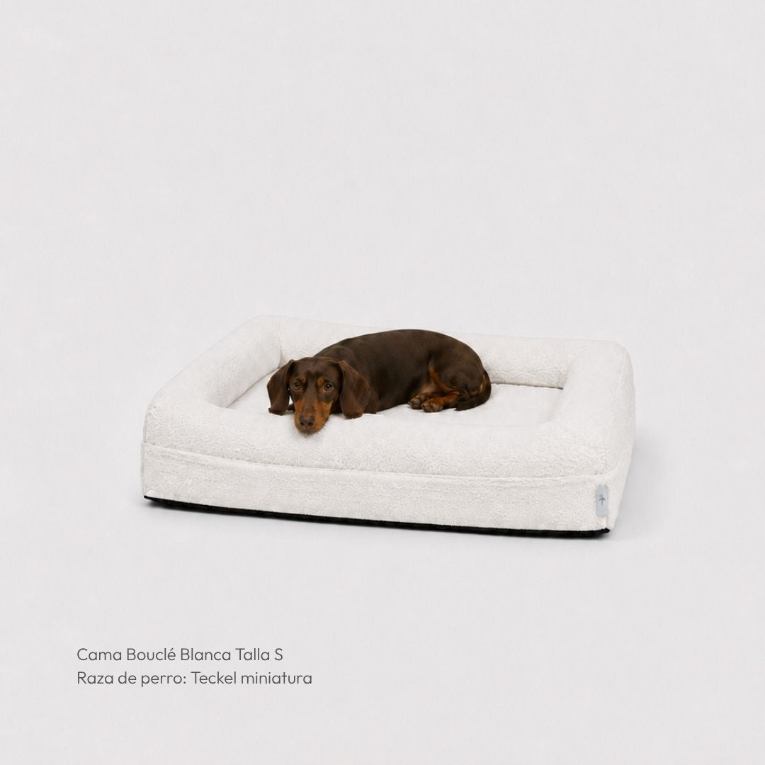 Pethijos Espana - Camas para perros ortopedicas viscoelasticas - cama pequeña para teckel
