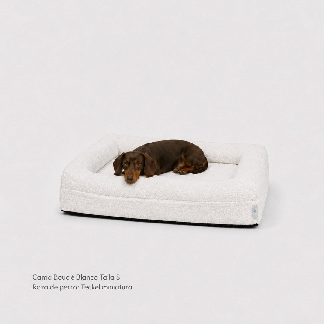 Cama ortopédica viscoelástica – Bouclé branca