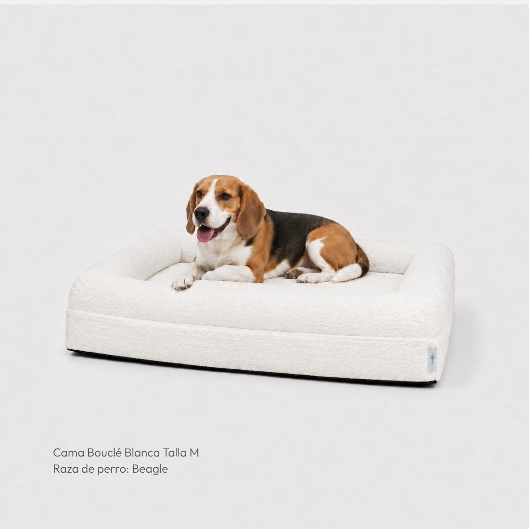 Cama ortopédica viscoelástica – Bouclé branca