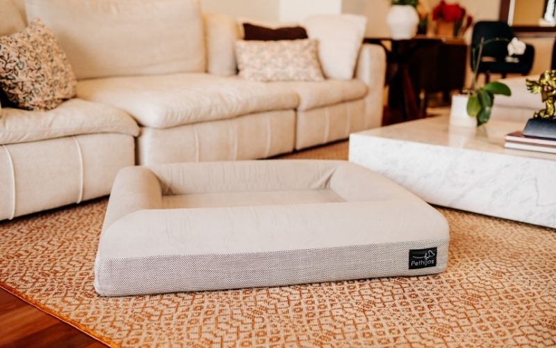 Pethijos Espana - Camas para perros ortopedicas viscoelasticas - foto cama boucle blanca