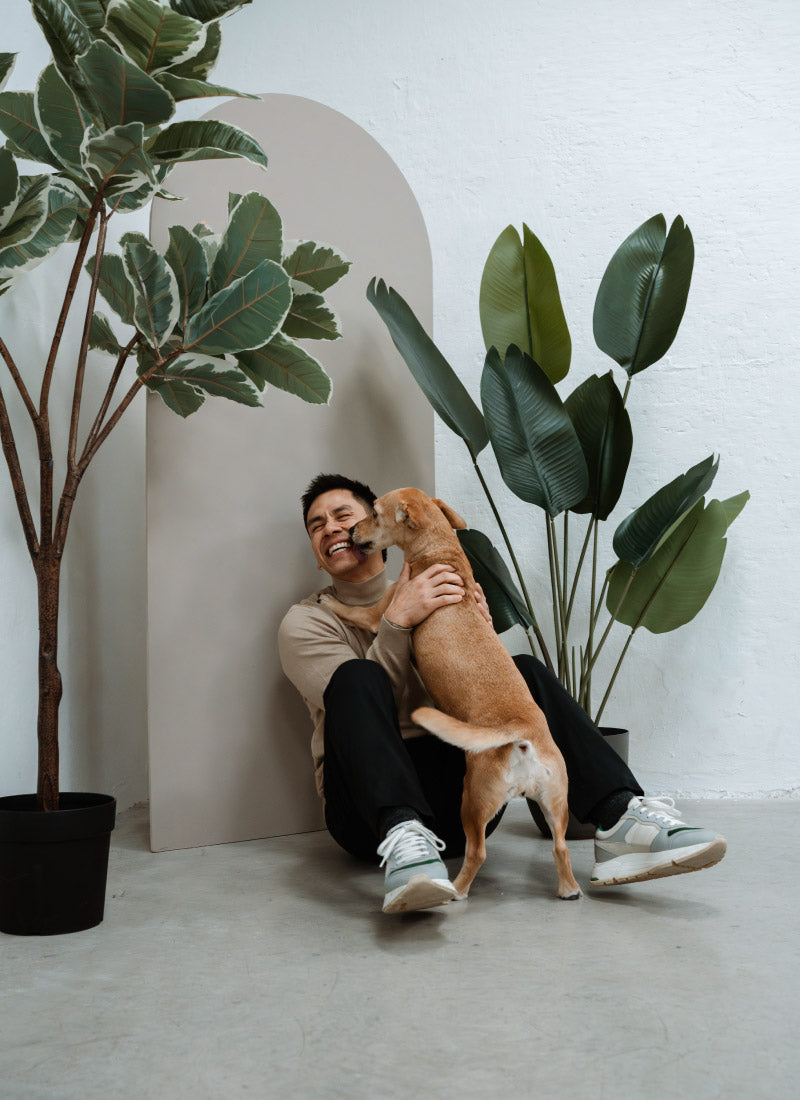 Pethijos Espana - Camas para perros ortopedicas viscoelasticas - sobre nosotros