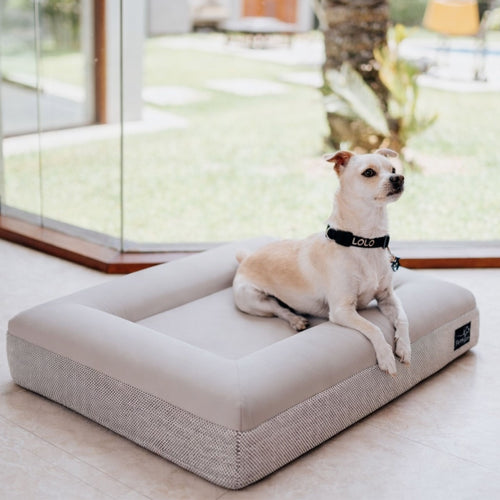 cama ortopedica pethijos perro sobre cama